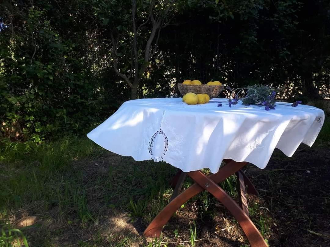 Panmar Apartman Vasilikí Kültér fotó